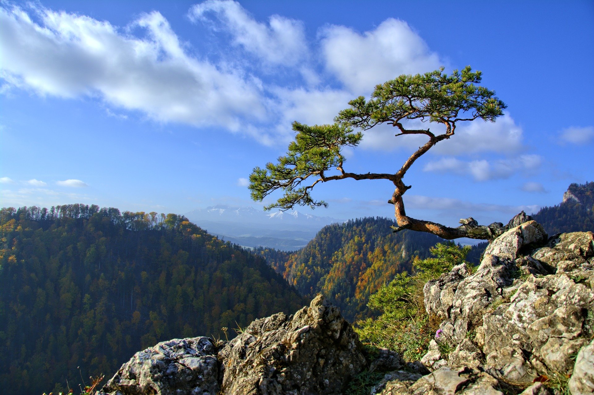 pieniny-1005434_1920