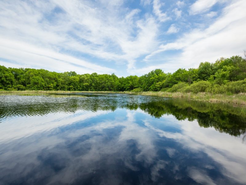 Summer lake